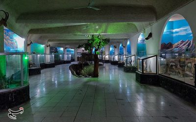 افتتاح نخستین موزه دیرینه‌شناسی و حیات طبیعی کشور + تصاویر